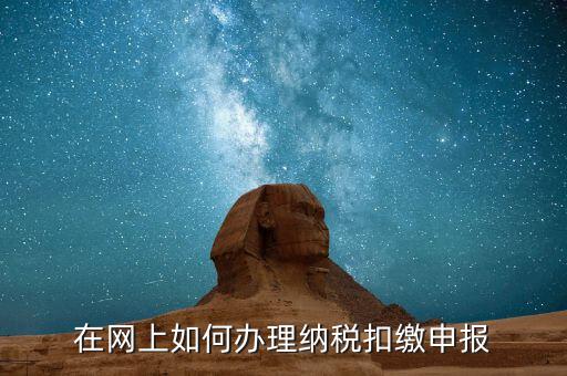 如何進行網上稅務申報，網上報稅怎么報