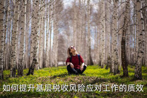 如何提升基層稅收風(fēng)險應(yīng)對工作的質(zhì)效