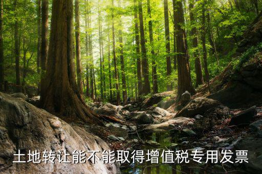 轉(zhuǎn)讓土地如何開票，土地轉(zhuǎn)讓能不能取得增值稅專用發(fā)票