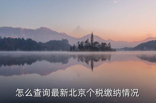 北京市 欠稅人員如何查詢，稅務(wù)欠稅信息如何查詢