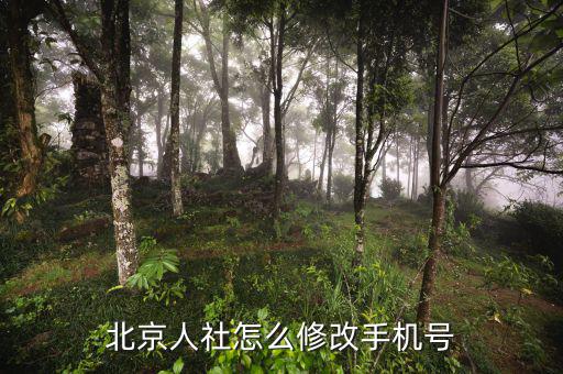 北京網(wǎng)上如何修改報(bào)稅電話，如何在北京國(guó)稅網(wǎng)站修改報(bào)稅電話