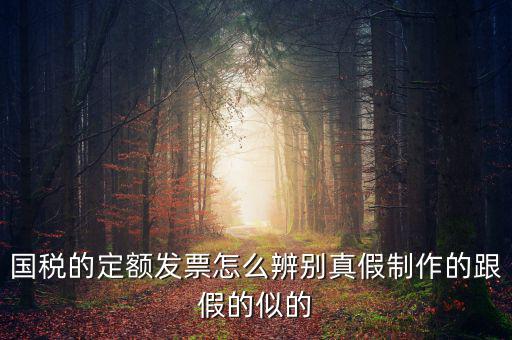 如何驗證定額發(fā)票，國稅的定額發(fā)票怎么辨別真假制作的跟假的似的