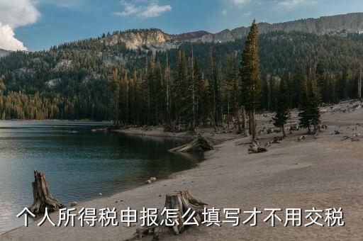 福建自然人個(gè)稅如何申報(bào)才不用繳稅，個(gè)稅專項(xiàng)附加扣除怎樣填寫才不繳稅