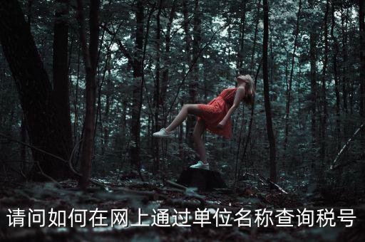 如何通過(guò)公司名稱查稅號(hào)，知道公司名字怎么查稅號(hào)嗎