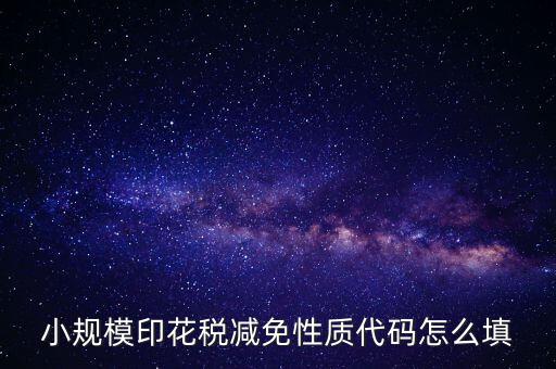 印花稅減免額 如何填寫，六稅兩費印花稅減半怎么申報
