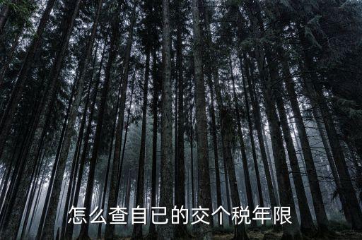 如何查詢納稅期限，怎么查自已的交個(gè)稅年限
