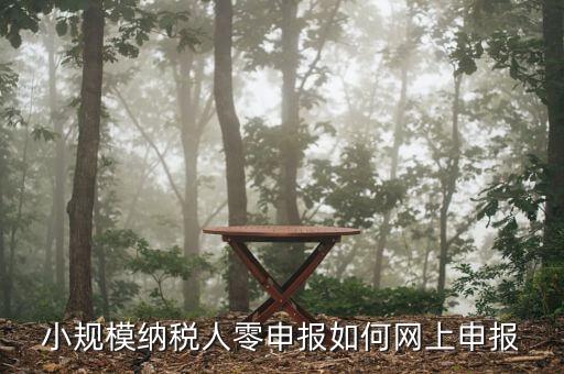 小規(guī)模納稅人零申報如何網(wǎng)上申報