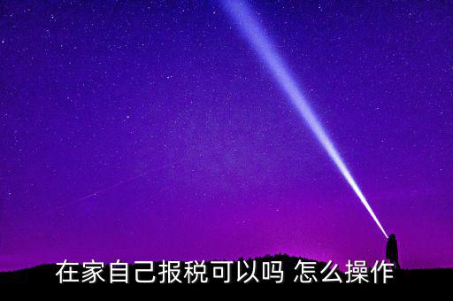 如何自行申報(bào)納稅，在家自己報(bào)稅可以嗎 怎么操作
