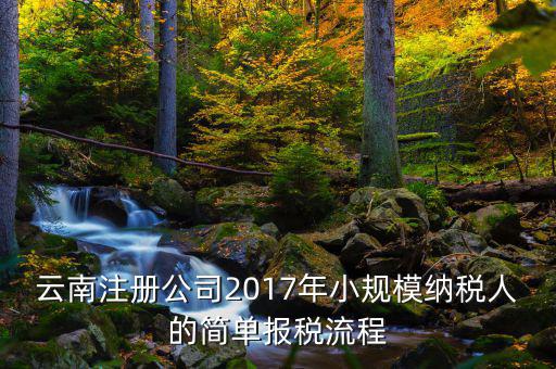 云南注冊(cè)公司2017年小規(guī)模納稅人的簡單報(bào)稅流程