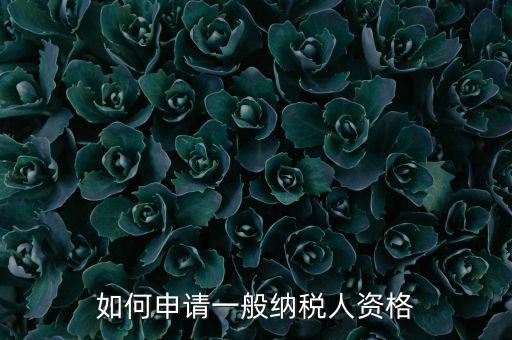 一般納稅人如何申請B級，一般納稅人B類企業(yè)如何申報企業(yè)所得稅
