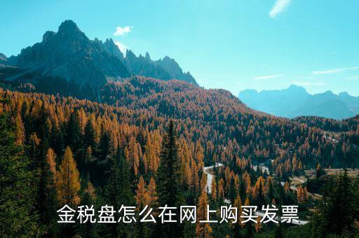 金稅盤(pán)如何網(wǎng)上購(gòu)票，金稅盤(pán)領(lǐng)購(gòu)發(fā)票的流程