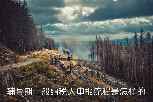 單位培訓(xùn)如何為授課人報(bào)稅，輔導(dǎo)期的報(bào)稅具體流程是怎么樣