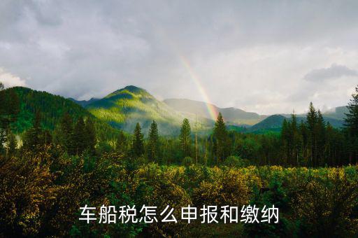 車(chē)船稅怎么申報(bào)和繳納