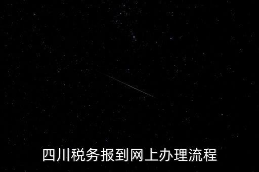 四川企業(yè)地稅如何網(wǎng)上申報系統(tǒng)，稅務(wù)申報如何網(wǎng)上申報