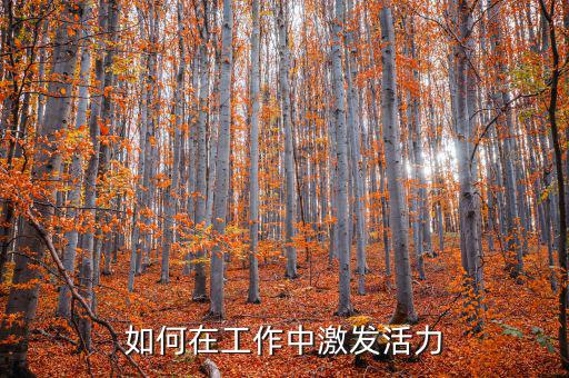 如何激發(fā)稅務(wù)干部的活力，在稅收工作中如何激發(fā)下屬的潛力