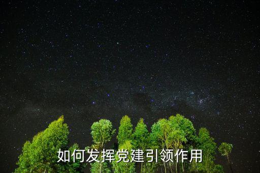如何發(fā)揮稅務局黨建引領作用，如何發(fā)揮黨建引領作用