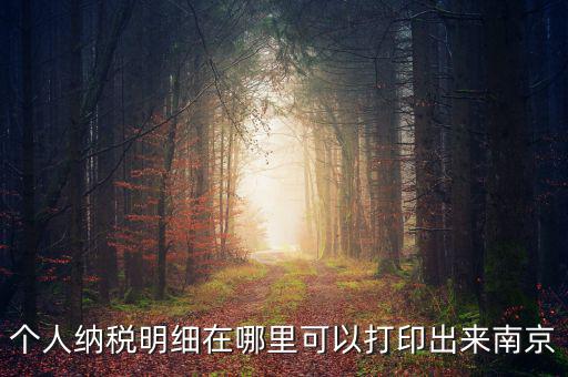 如何打印個(gè)稅明細(xì)，個(gè)人納稅明細(xì)在哪里可以打印出來南京