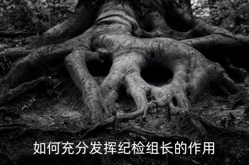 稅務(wù)局如何貫徹落實(shí)紀(jì)檢組長(zhǎng)的講話，如何充分發(fā)揮紀(jì)檢組長(zhǎng)的作用