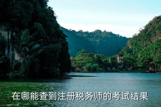 如何通過(guò)注稅考試成績(jī)，在哪能查到注冊(cè)稅務(wù)師的考試結(jié)果