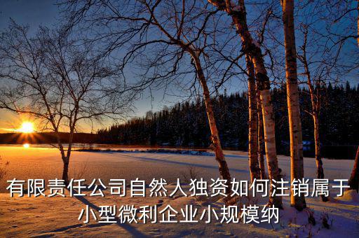 如何注銷小微企業(yè)所得稅，小微企業(yè)工商稅務(wù)注銷手續(xù)