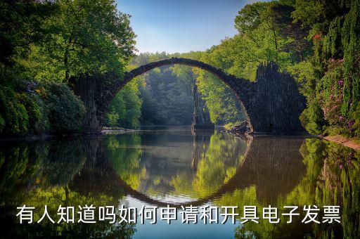 如何網(wǎng)上申領(lǐng)電子發(fā)票嗎，網(wǎng)上怎么領(lǐng)購(gòu)發(fā)票