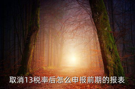 取消13稅率申報表如何填，13的稅率沒了納稅申報以后怎么辦