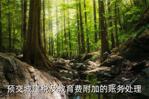 預(yù)繳城建稅如何處理，預(yù)交城建稅及教育費(fèi)附加的賬務(wù)處理