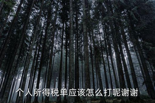 如何打印個(gè)人所得稅清單，請(qǐng)問如何打印個(gè)人個(gè)人所得稅繳款單據(jù)