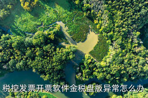 稅控發(fā)票開(kāi)票軟件金稅盤版異常怎么辦