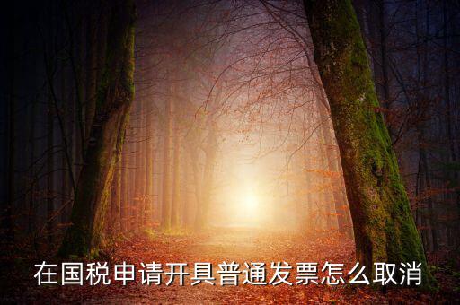 網(wǎng)上申領(lǐng)發(fā)票如何撤銷(xiāo)，已經(jīng)申報(bào)了的發(fā)票怎么作廢