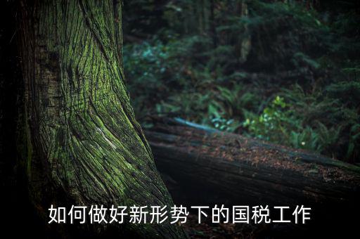 如何貫徹國稅工作會議上的講話，如何貫徹落實(shí)國稅系統(tǒng)化政府采購工作規(guī)范