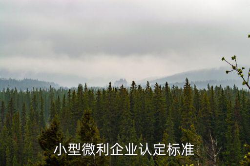 如何確定是小微企業(yè)，小型微利企業(yè)認定標準