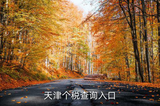 天津個稅如何查詢密碼，天津個稅查詢?nèi)肟?/></a></span><span id=