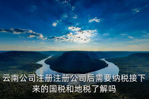 云南國稅如何申報(bào)，云南公司注冊(cè)注冊(cè)公司后需要納稅接下來的國稅和地稅了解嗎