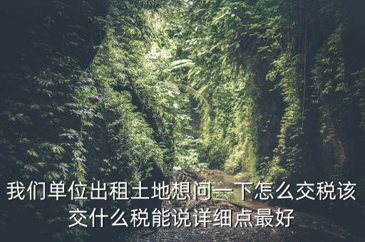 土地出租如何征稅，我們單位出租土地想問一下怎么交稅該交什么稅能說詳細點最好