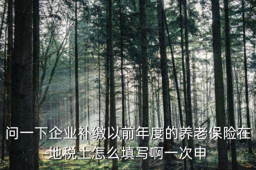 如何補(bǔ)打地稅社會(huì)保險(xiǎn)費(fèi)申報(bào)表，在網(wǎng)上交完社保后要怎樣補(bǔ)打社會(huì)保險(xiǎn)費(fèi)申報(bào)表