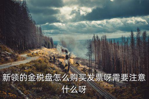 新公司如何購買金稅盤，新領(lǐng)的金稅盤怎么購買發(fā)票呀需要注意什么呀