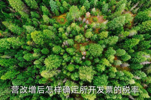 開票時(shí)稅率如何確認(rèn)，發(fā)票的稅是怎么算的是不是數(shù)額越大要繳稅的百分比就越大比