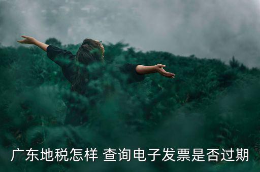 如何查詢電子發(fā)票是否有效，廣東地稅怎樣 查詢電子發(fā)票是否過期