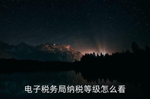 a級納稅人如何查詢，電子稅務(wù)局納稅等級怎么看