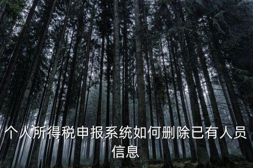 金三系統(tǒng)個稅申報人員如何刪除，如何刪掉個人所得稅人員信息