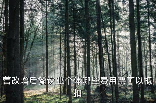 餐飲業(yè)如何抵扣，餐飲業(yè)無法向個人消費者開具增值稅專用發(fā)票那怎么抵扣進項稅
