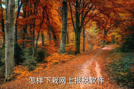 如何下載報稅軟件下載，怎么下載地稅納稅申報軟件