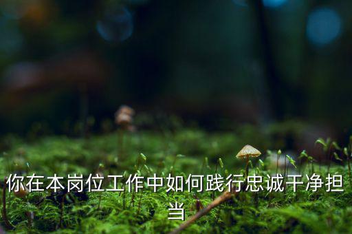 稅務(wù)干部如何講忠誠(chéng)，如何做對(duì)黨忠誠(chéng)個(gè)人干凈敢于的好干部