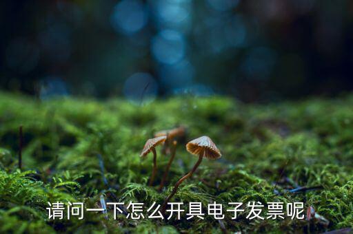 上海如何申領(lǐng)電子發(fā)票，請(qǐng)問(wèn)一下怎么開(kāi)具電子發(fā)票呢