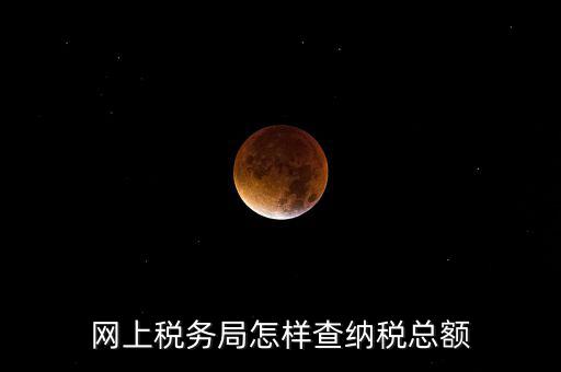 國稅局如何查稅，網(wǎng)上稅務局怎樣查納稅總額