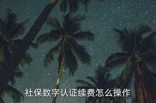 社保數字認證續(xù)費怎么操作