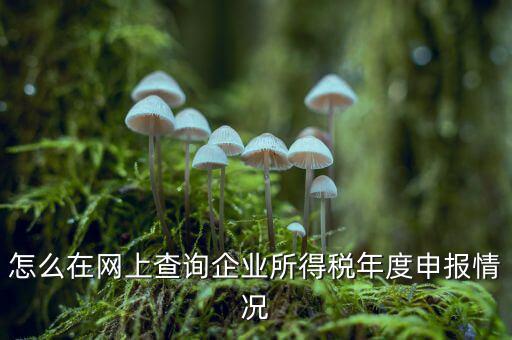如何查詢企業(yè)個稅申報名單，怎樣查詢公司的所得稅已經(jīng)申報了
