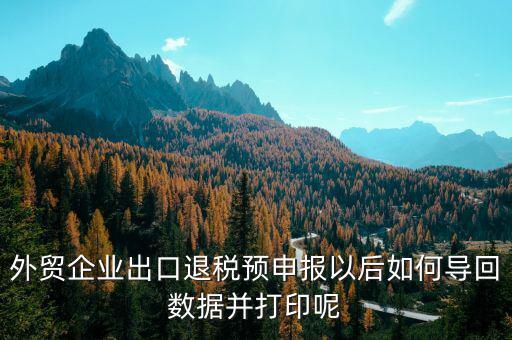 出口退免稅備案如何打印，外貿(mào)企業(yè)出口退稅預(yù)申報以后如何導(dǎo)回數(shù)據(jù)并打印呢