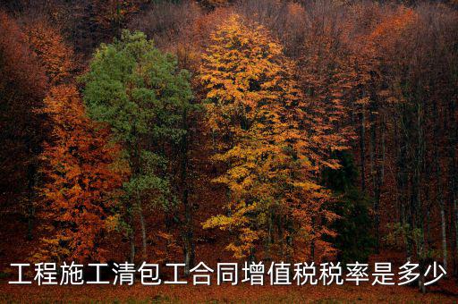 清包工 如何稅務(wù)，一般納稅人去國(guó)稅說明是清包工怎么寫說明